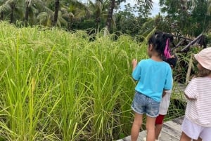 Phuket: Heldagstur med lokalt liv och kultur med upphämtning och lunch