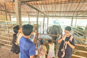 Phuket: Tour de día completo por la cultura local con servicio de recogida y comida