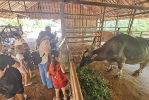 Phuket: Ganztagestour durch das lokale Leben und die Kultur mit Abholung und Mittagessen