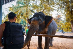 Phuket: Heldagstur med Phuket by, tempel, ATV og tiger