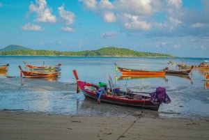 Phuket: Heldagstur med Phuket by, tempel, ATV og tiger