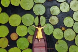 Phuket: Wycieczka prywatna i all inclusive z gigantycznymi liliami wodnymi