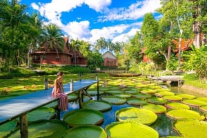 Phuket Giant Water Lilies Tour (Private & All-Inclusive)