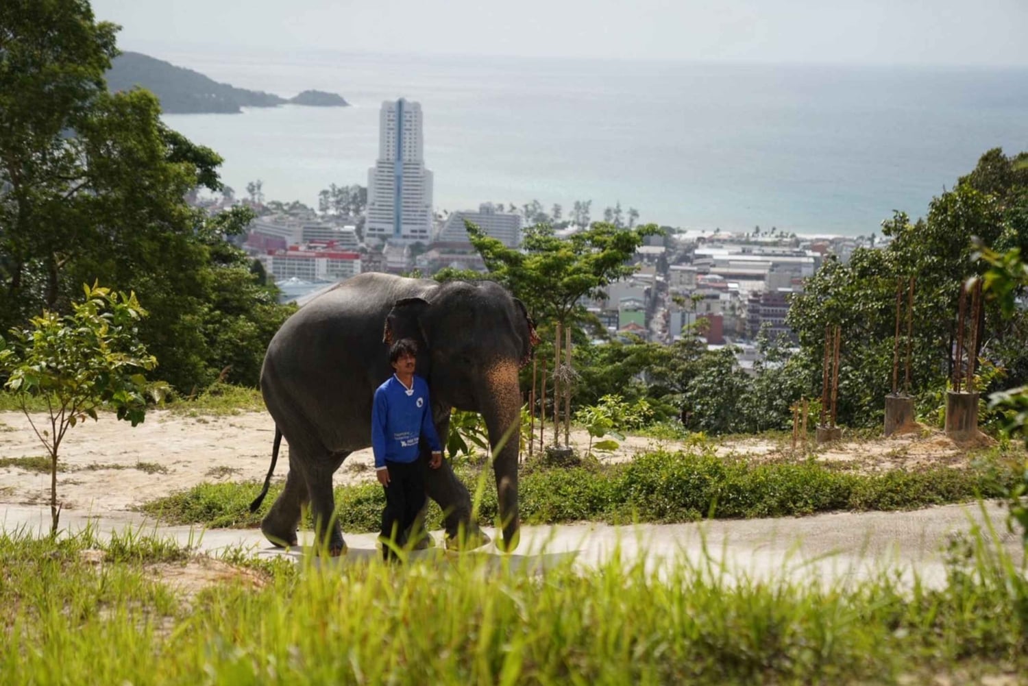 Phuket: Tour guiado ao Santuário de Elefantes de Patong