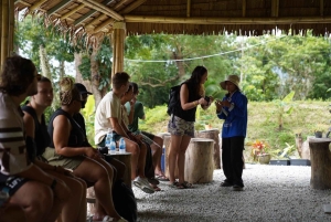 Phuket: Tour guiado ao Santuário de Elefantes de Patong