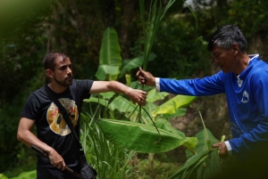 Phuket: Tour guiado ao Santuário de Elefantes de Patong