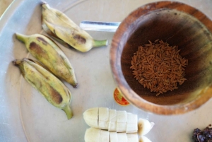 Phuket: Tour guiado ao Santuário de Elefantes de Patong