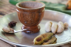 Phuket: Tour guiado ao Santuário de Elefantes de Patong