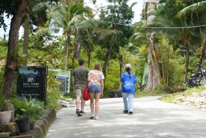 Phuket: Tour guiado ao Santuário de Elefantes de Patong