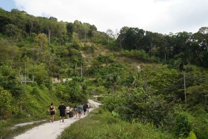 Phuket: Tour guiado ao Santuário de Elefantes de Patong