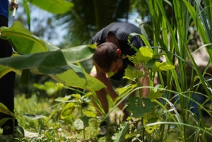 Phuket: Tour guiado ao Santuário de Elefantes de Patong