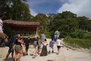 Phuket: Tour guiado ao Santuário de Elefantes de Patong