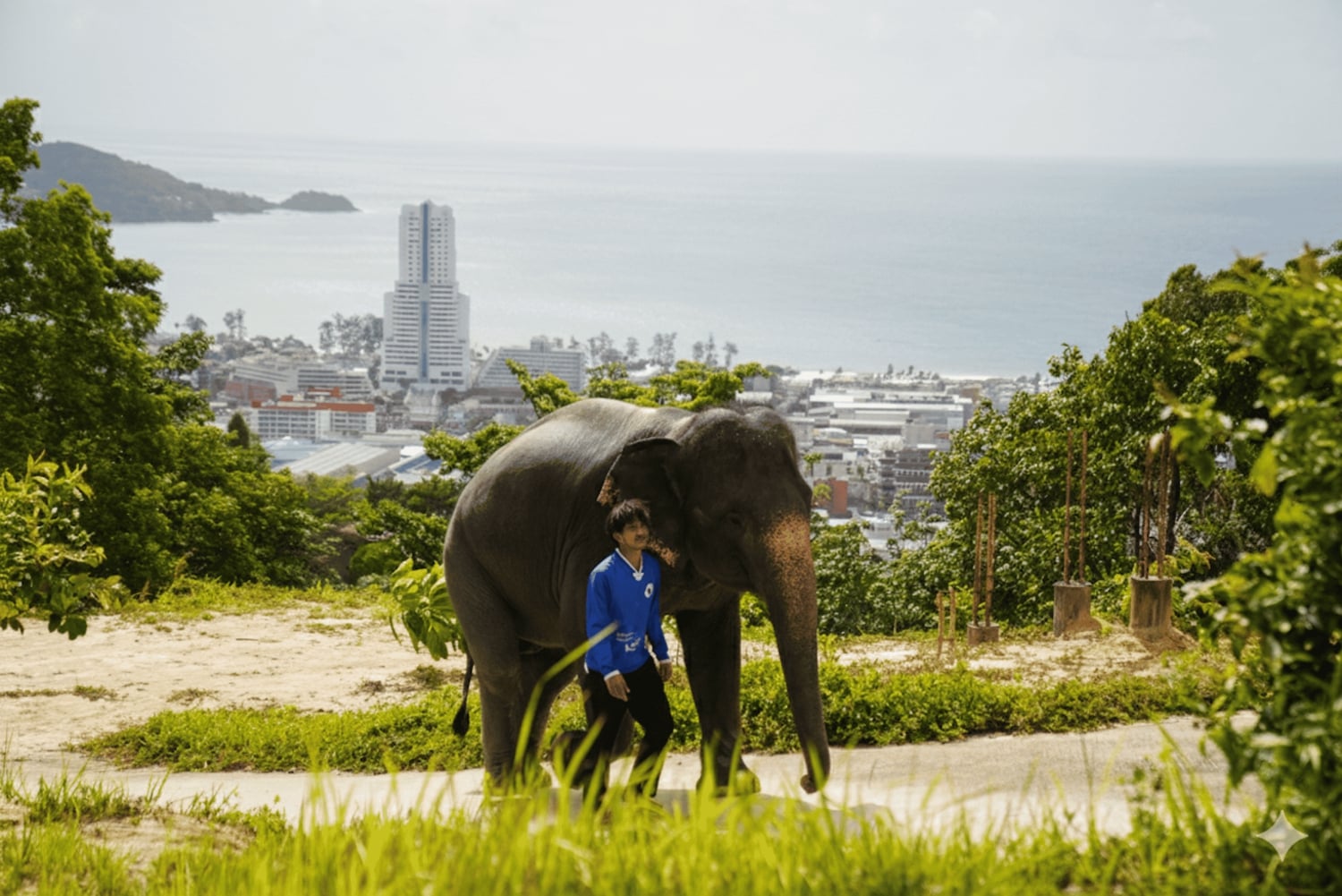 Phuket: tour guidato al santuario degli elefanti con trasferimento dall'hotel