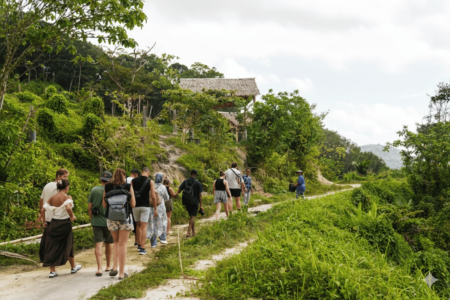 Phuket: tour guidato al santuario degli elefanti con trasferimento dall'hotel