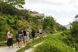 Phuket: tour guidato al santuario degli elefanti con trasferimento dall'hotel