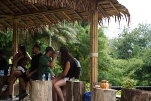 Phuket: tour guidato al santuario degli elefanti con trasferimento dall'hotel