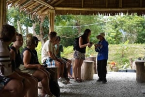Phuket: tour guidato al santuario degli elefanti con trasferimento dall'hotel