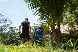 Phuket: tour guidato al santuario degli elefanti con trasferimento dall'hotel