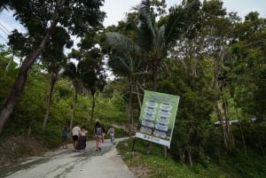 Phuket: tour guidato al santuario degli elefanti con trasferimento dall'hotel