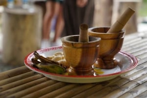 Phuket: tour guidato al santuario degli elefanti con trasferimento dall'hotel