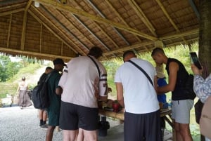 Phuket: tour guidato al santuario degli elefanti con trasferimento dall'hotel