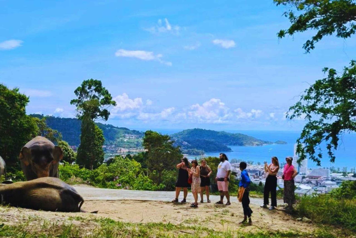 Phuket: Guided Tour to Elephant Sanctuary with Transfer