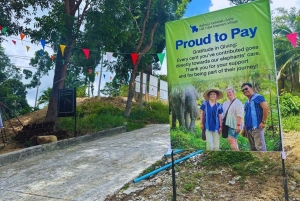 Phuket: Guided Tour to Elephant Sanctuary with Transfer