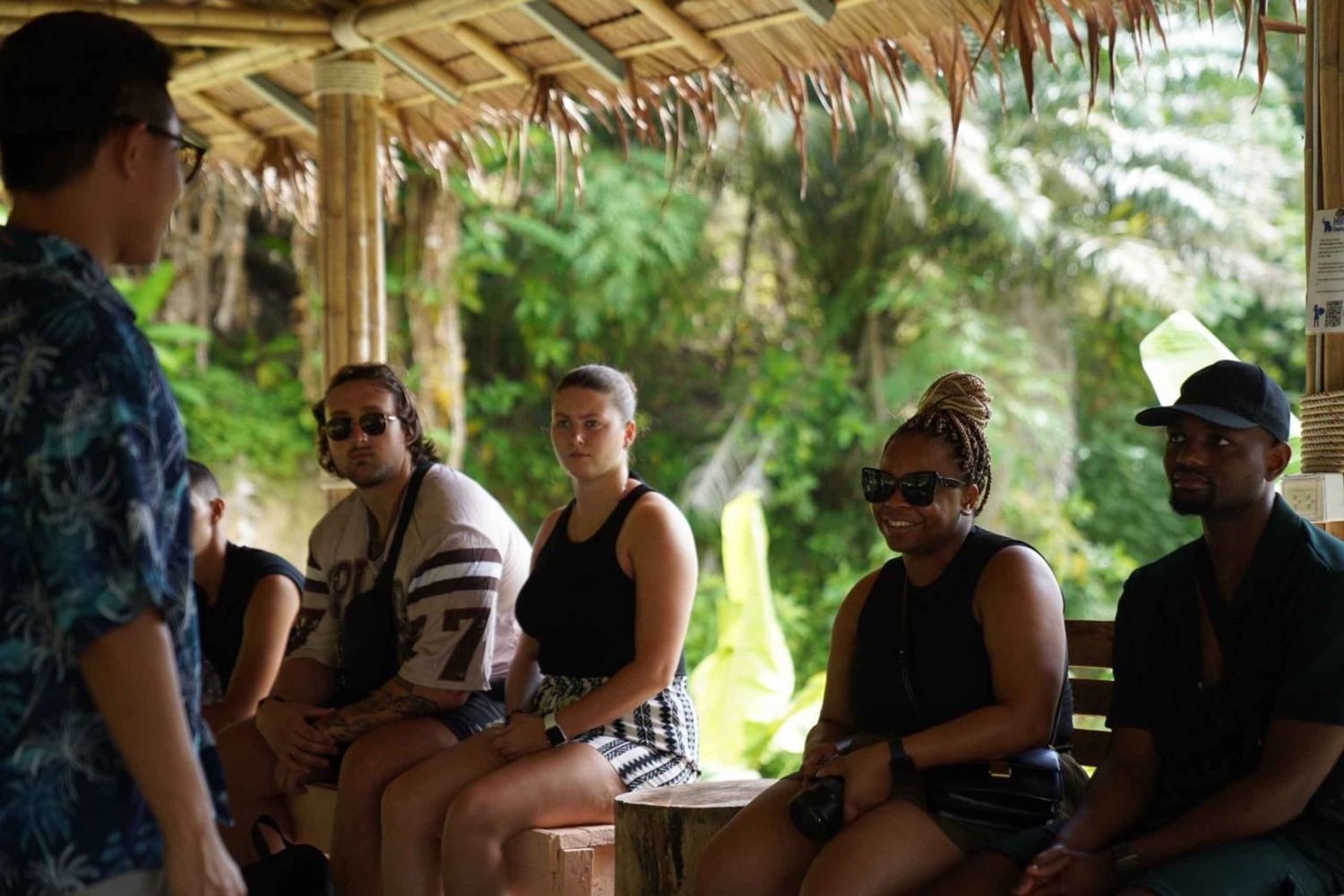 Phuket: visita guiada ao santuário de elefantes com transporte