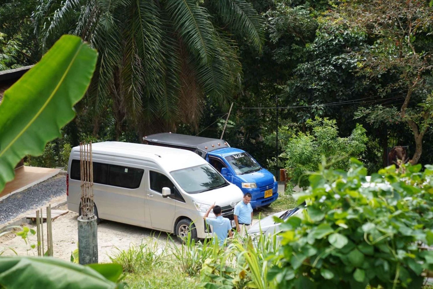 Phuket: visita guiada ao santuário de elefantes com transporte