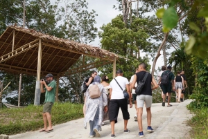 Phuket: guidet tur til elefantsanatorium med transport