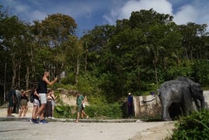 Phuket: guidet tur til elefantsanatorium med transport