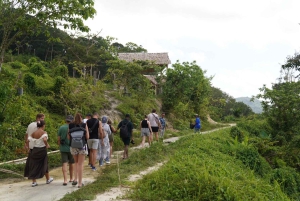 Phuket: guidet tur til elefantsanatorium med transport