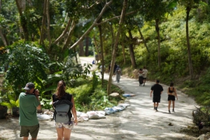 Phuket: guidet tur til elefantsanatorium med transport