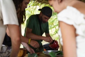 Phuket: guidet tur til elefantsanatorium med transport