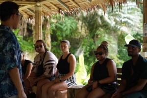 Phuket: visita guiada ao santuário de elefantes com transporte