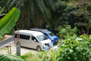 Phuket: visita guiada ao santuário de elefantes com transporte