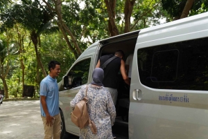 Phuket: visita guiada ao santuário de elefantes com transporte