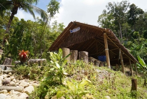 Phuket: visita guiada ao santuário de elefantes com transporte