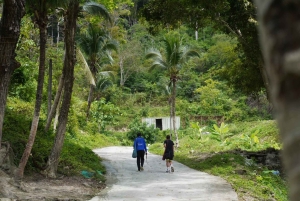 Phuket: visita guiada ao santuário de elefantes com transporte