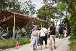 Phuket: visita guiada ao santuário de elefantes com transporte