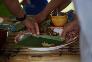 Phuket: visita guiada ao santuário de elefantes com transporte