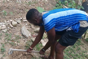 Phuket: Guided Walk Tour to Elephant Sanctuary with Transfer