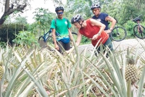 Phuket: Halbtägige Fahrradtour auf dem Land mit Mittagessen