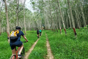 Phuket: Meio dia de passeio de bicicleta pelo campo com almoço
