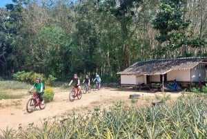 Phuket: Fietstocht van een halve dag op het platteland met lunch