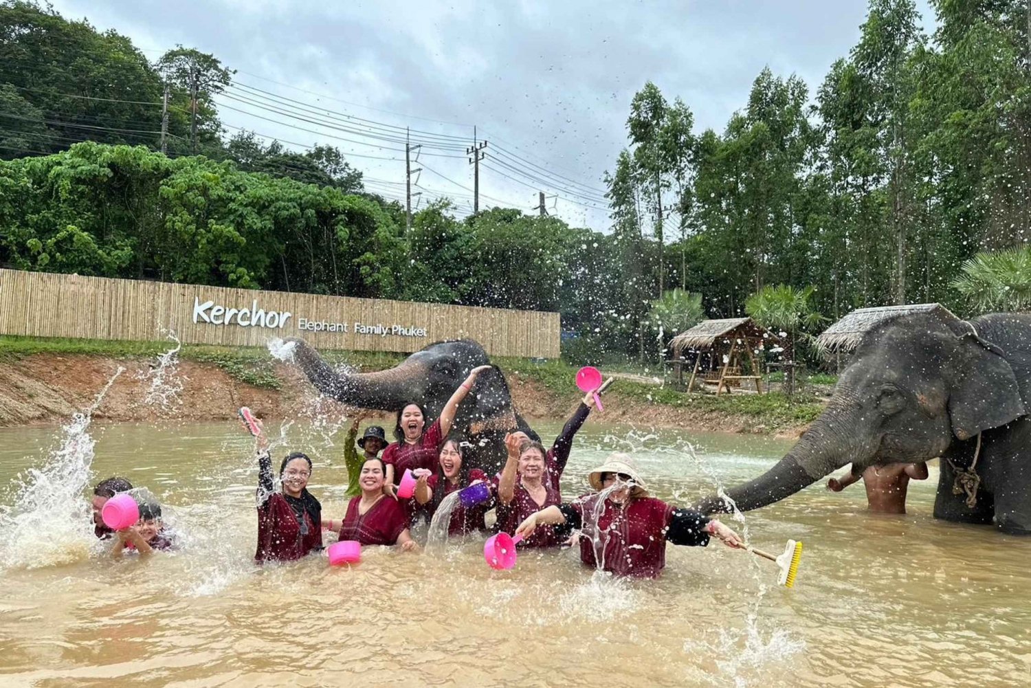 Phuket: Halvdags elefantopplevelse med lunsj og henting
