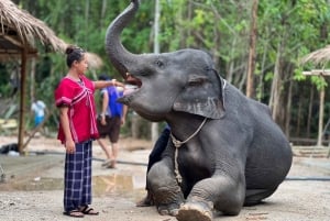 Phuket: Experiencia con elefantes de medio día con almuerzo y servicio de recogida