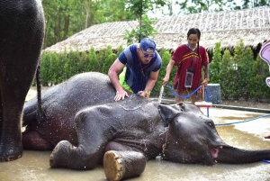 Phuket: Experiencia con elefantes de medio día con almuerzo y servicio de recogida