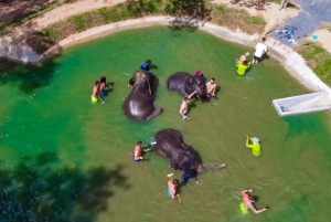 Phuket: olifantenverkenner van een halve dag bij Phuket Elephant Care