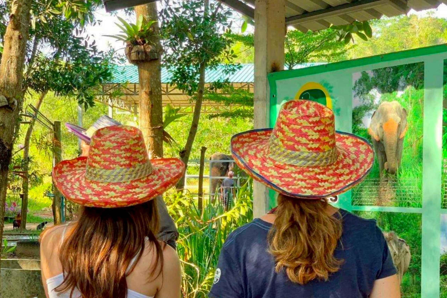 Phuket: Halvdagstur til etisk elefantreservat med lunsj